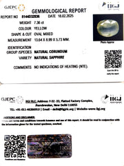 7.36/CT Natural Yellow Sapphire With Govt Lab Certificate
